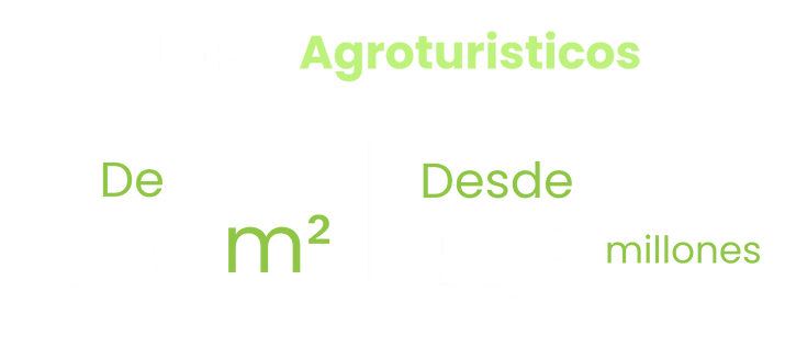 Descripción del proyecto
