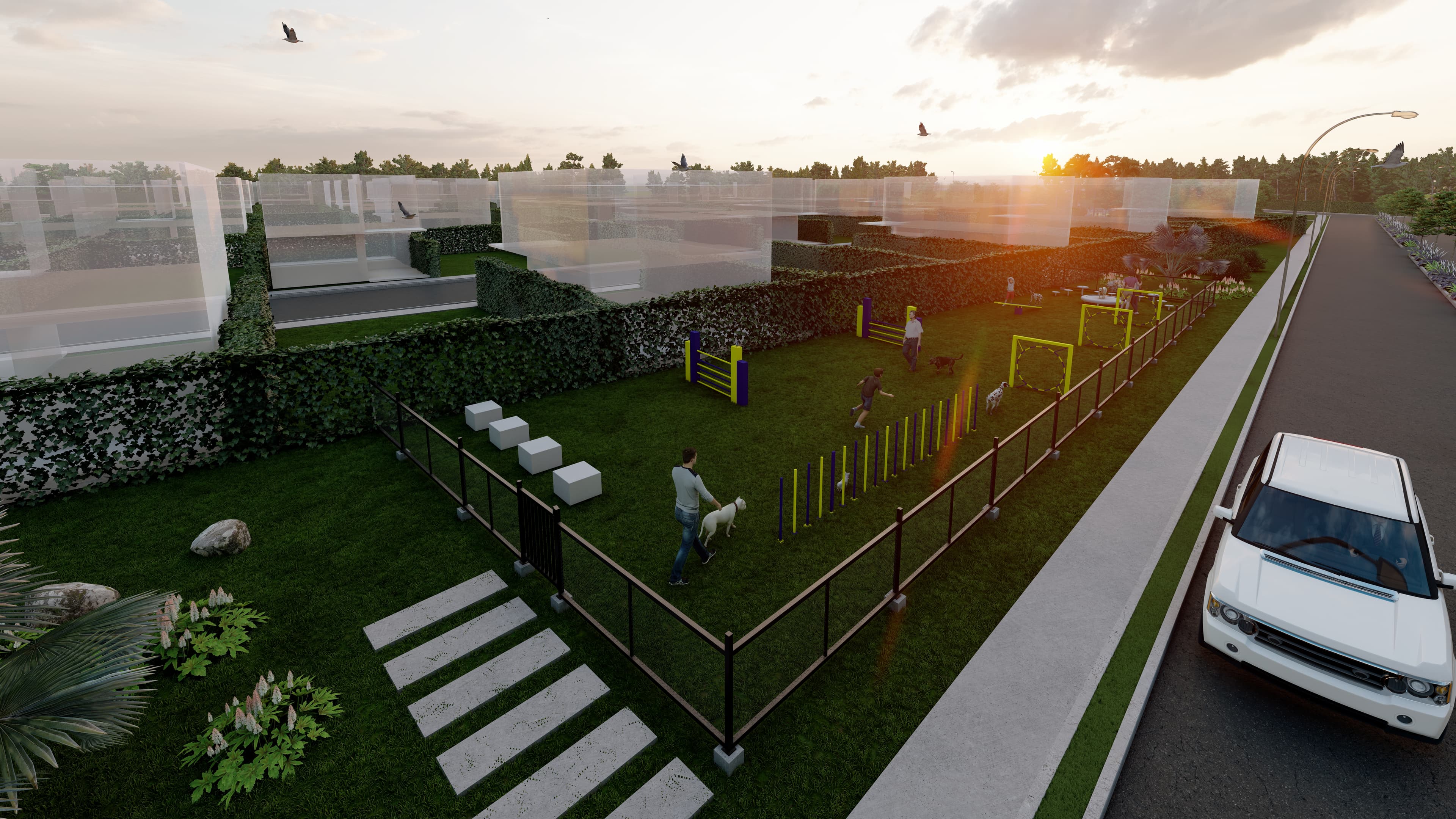 Dog Park